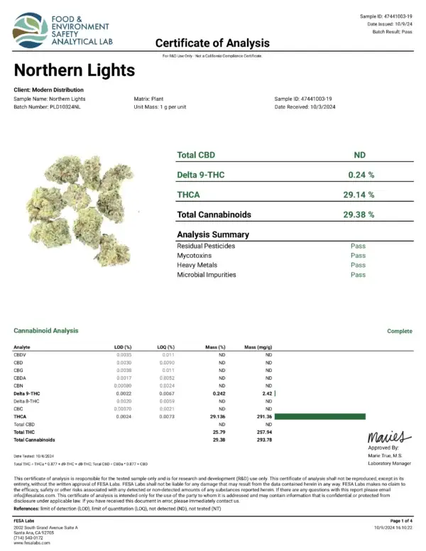 NORTHERN LIGHTS - Image 3