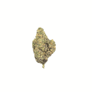 NORTHERN LIGHTS