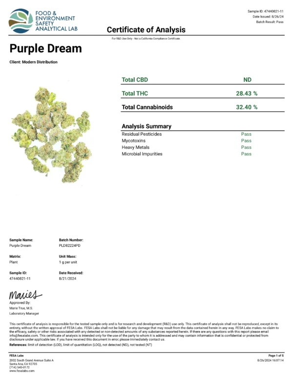 PURPLE DREAM - Image 3
