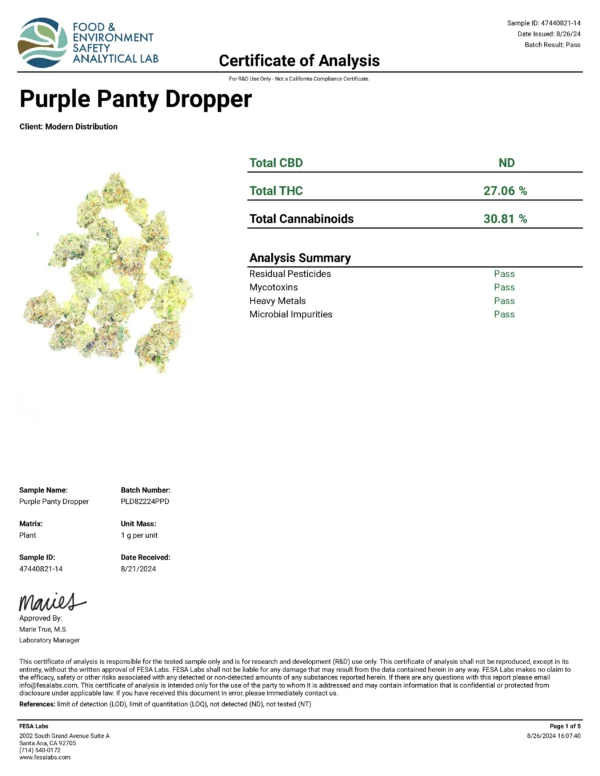 PURPLE PANTY DROPPER - Image 3