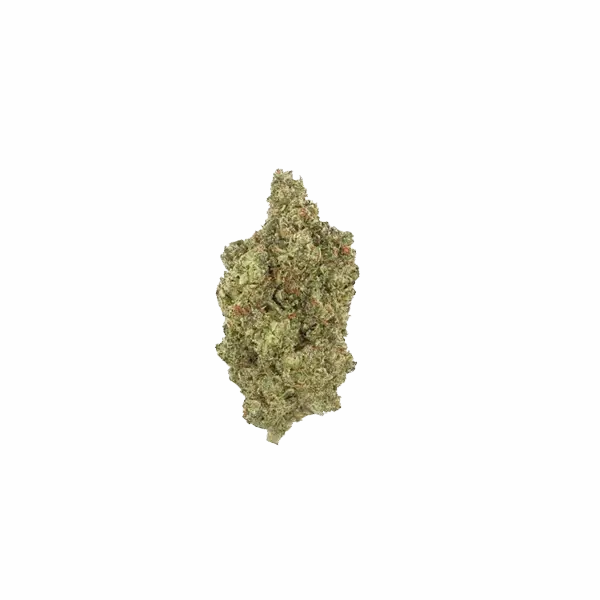 SOUR DIESEL