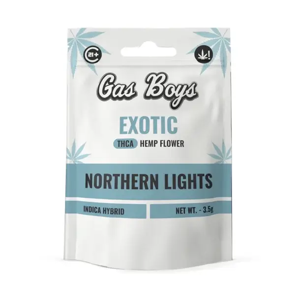 NORTHERN LIGHTS - Image 2