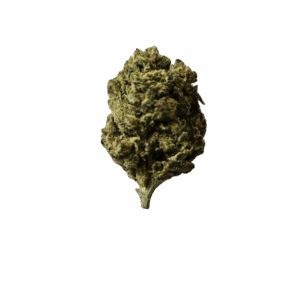 BLUE DREAM PIE