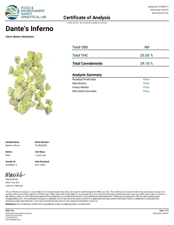 DANTE'S INFERNO - Image 3