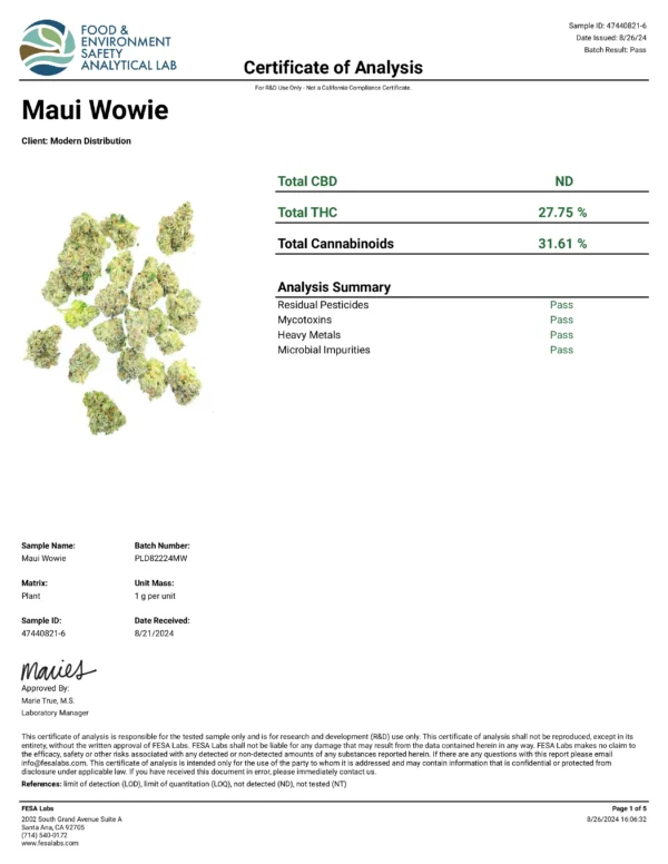 MAUI WOWIE - Image 3