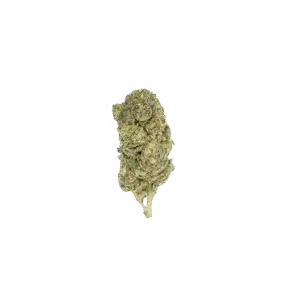 Maui_Wowie_bud