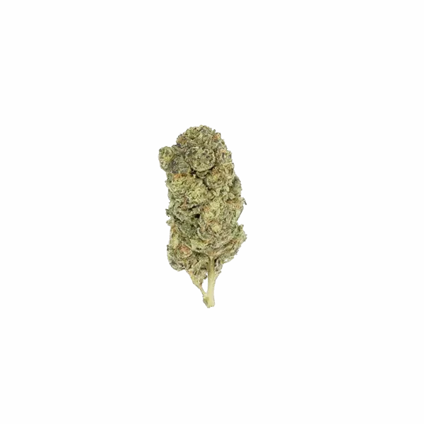 Maui_Wowie_bud