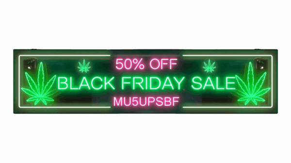 Black Friday Sale